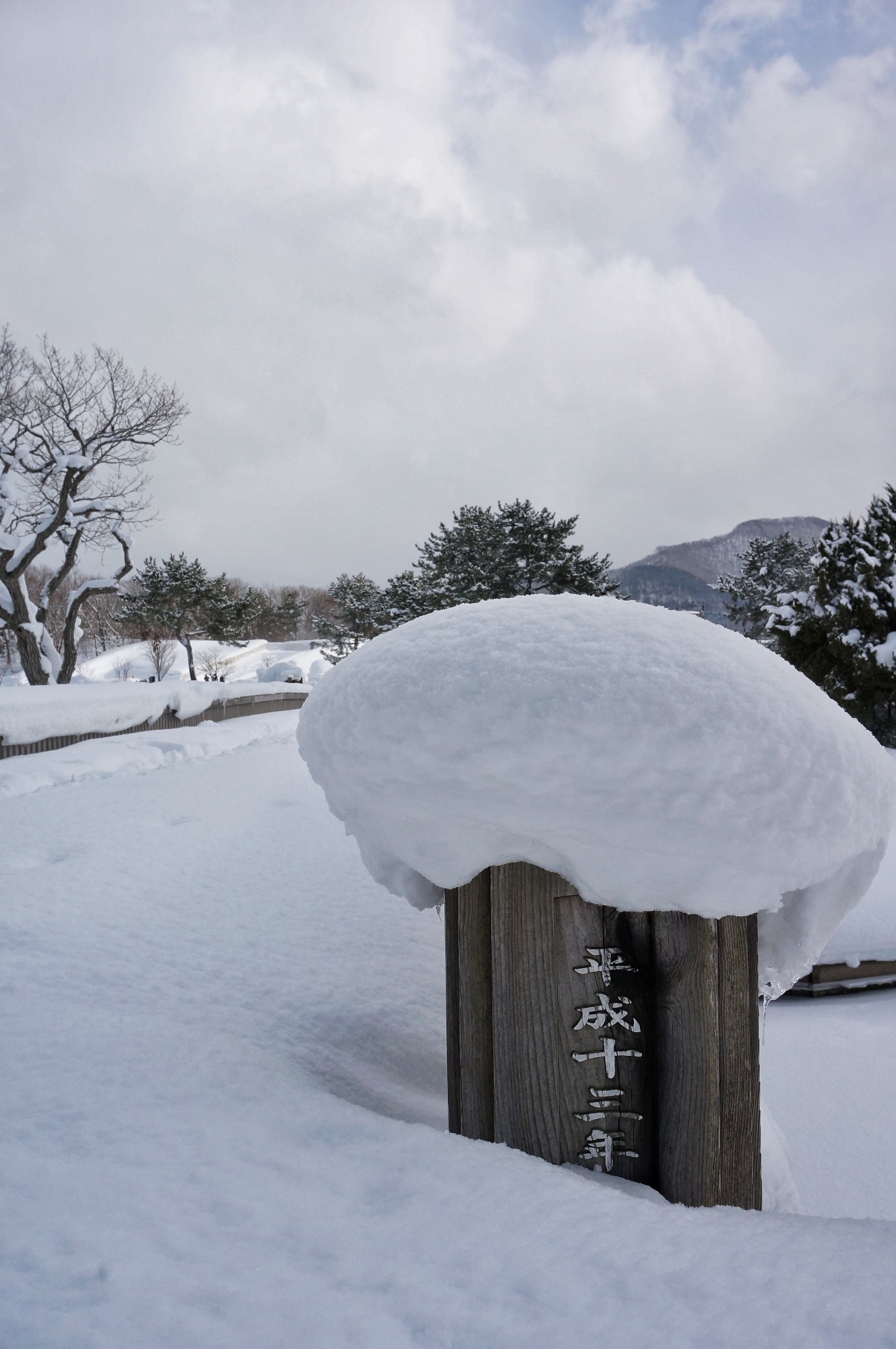 北海道自助遊攻略