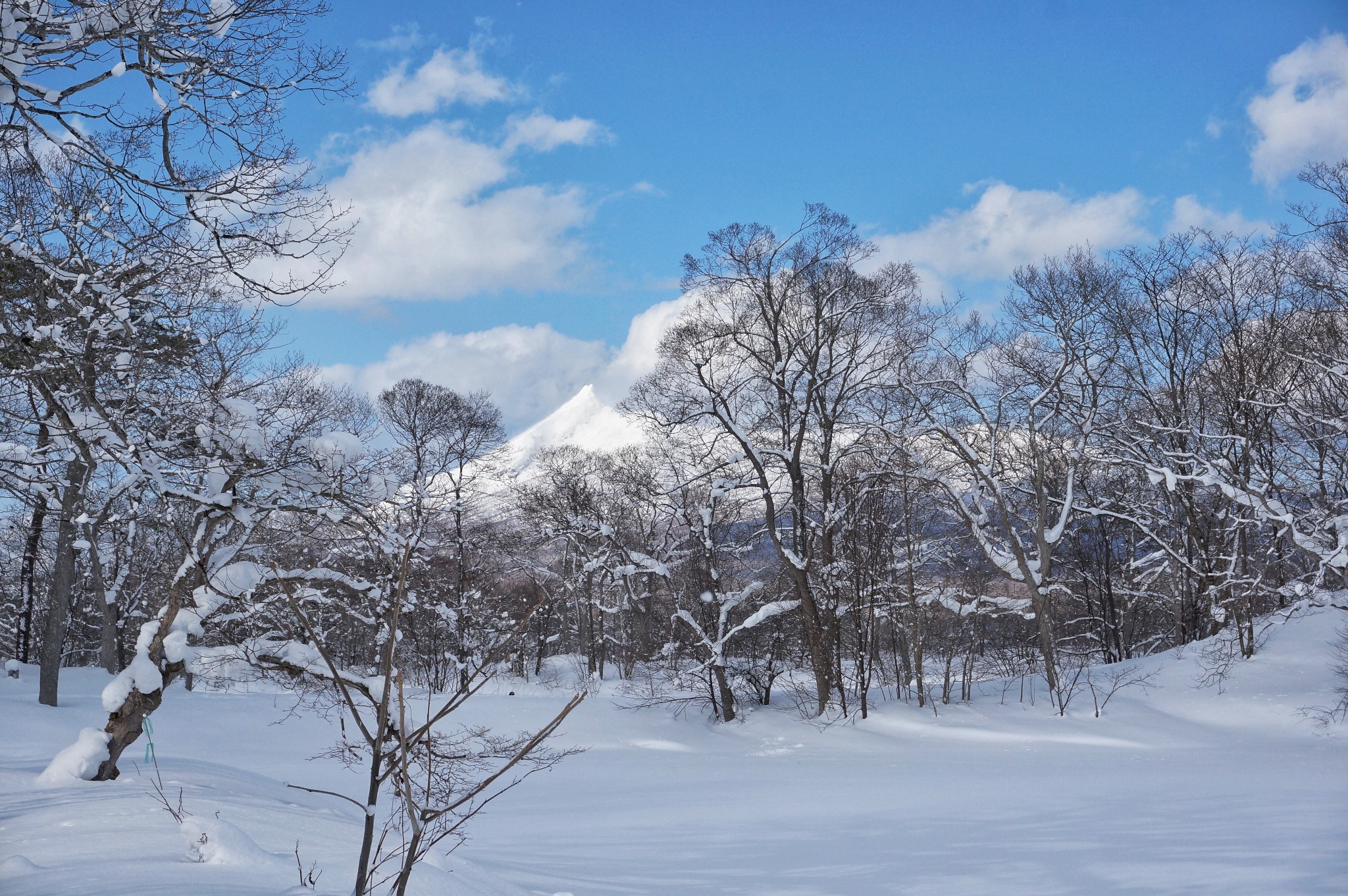 北海道自助遊攻略