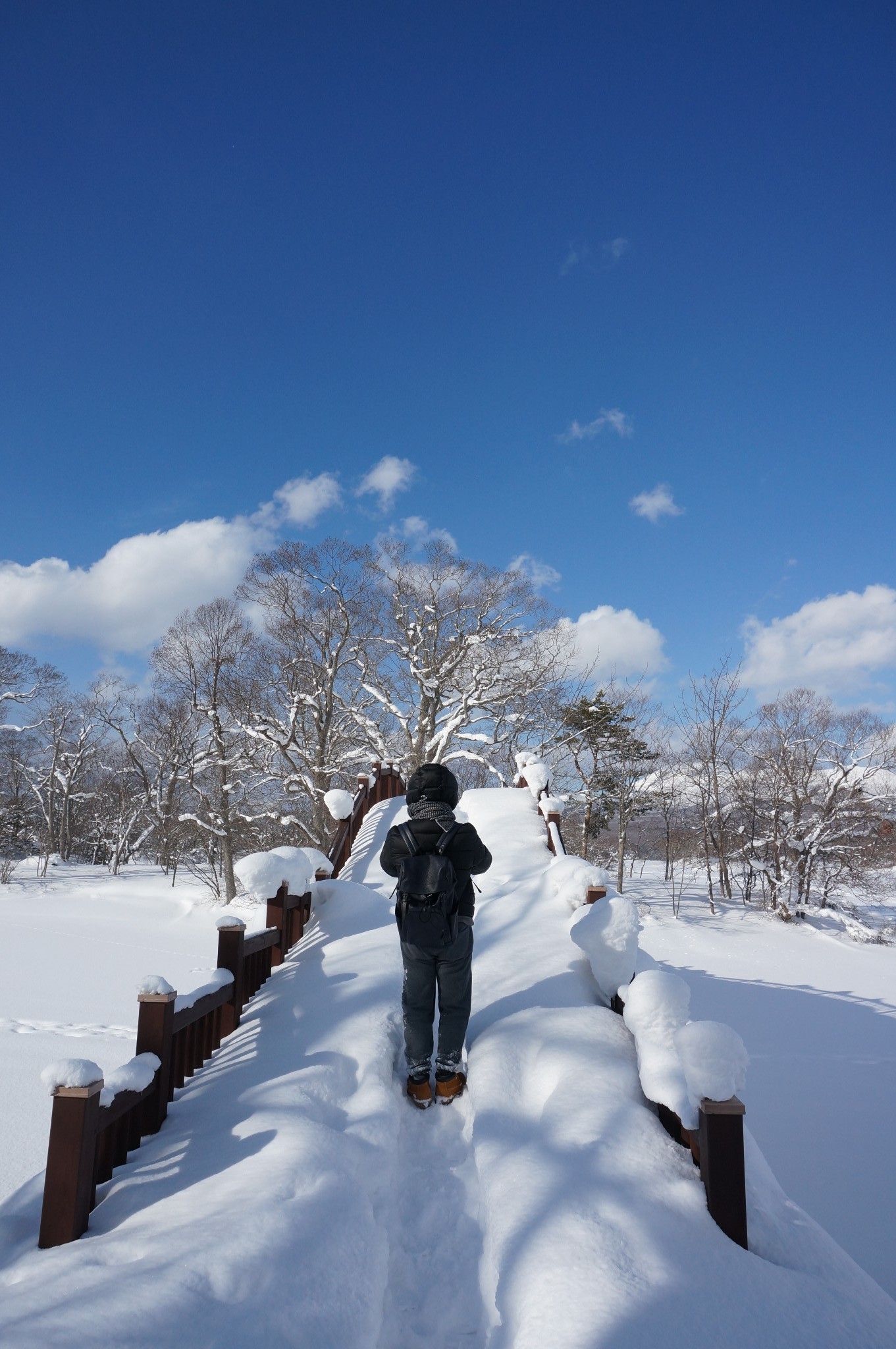 北海道自助遊攻略