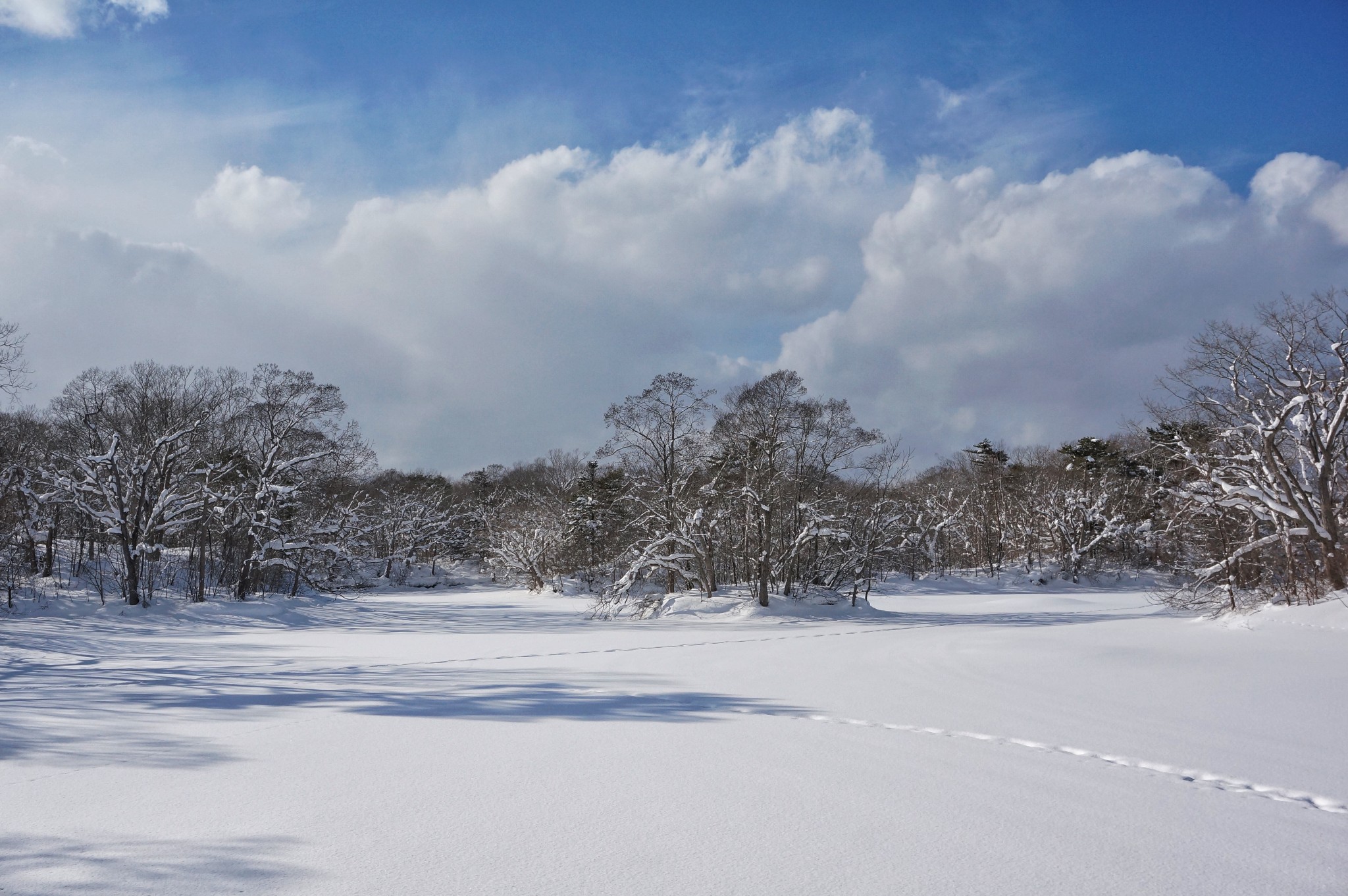 北海道自助遊攻略