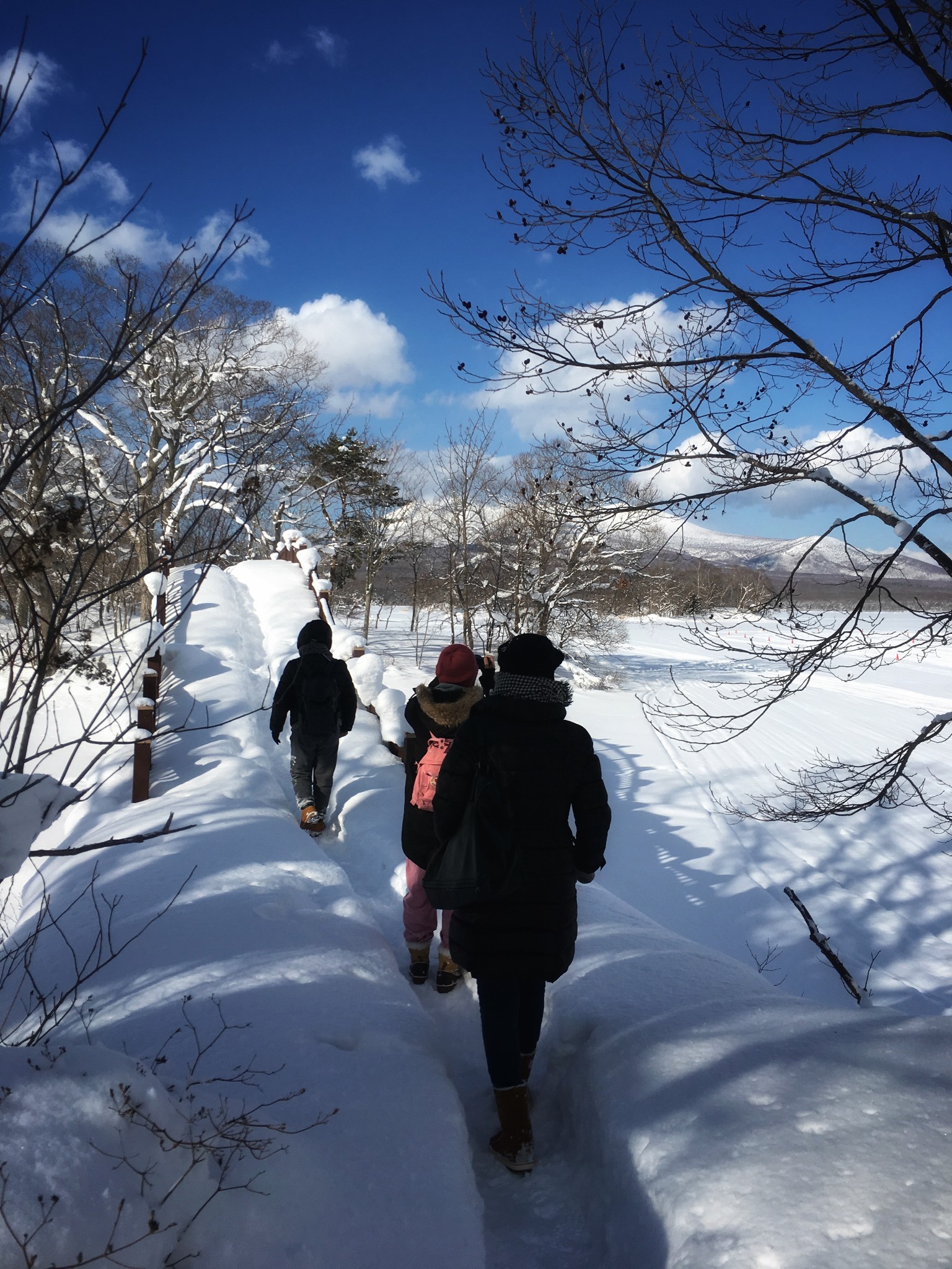 北海道自助遊攻略