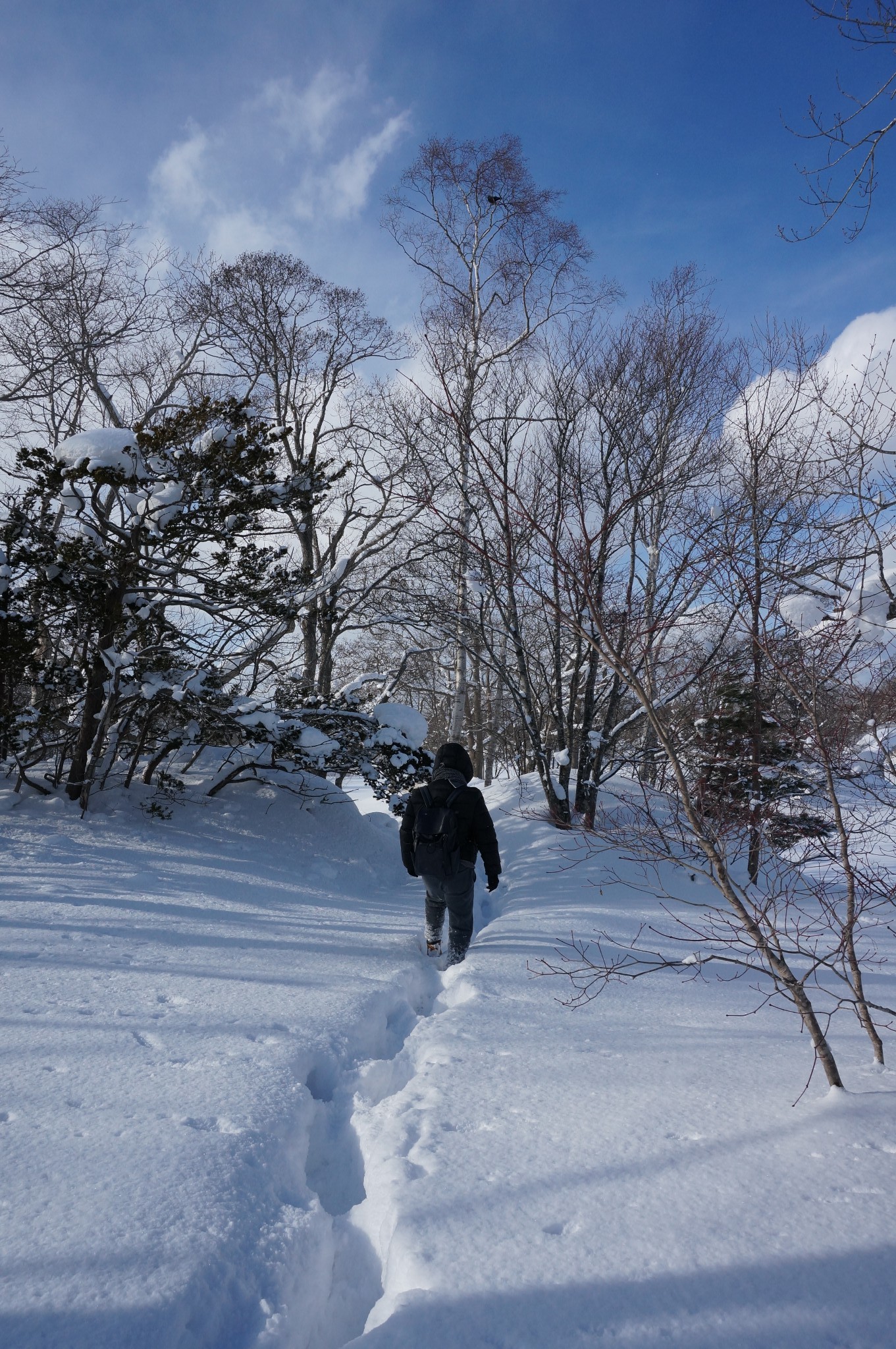 北海道自助遊攻略