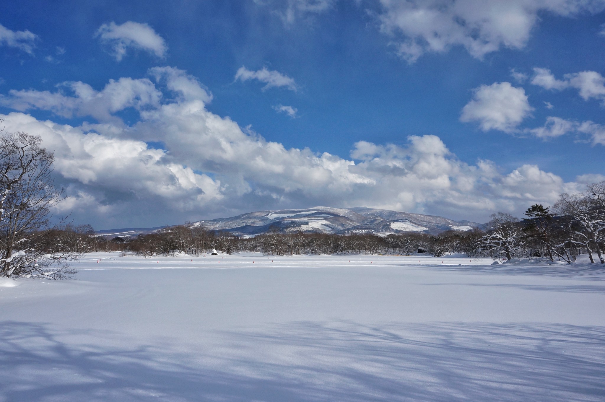 北海道自助遊攻略