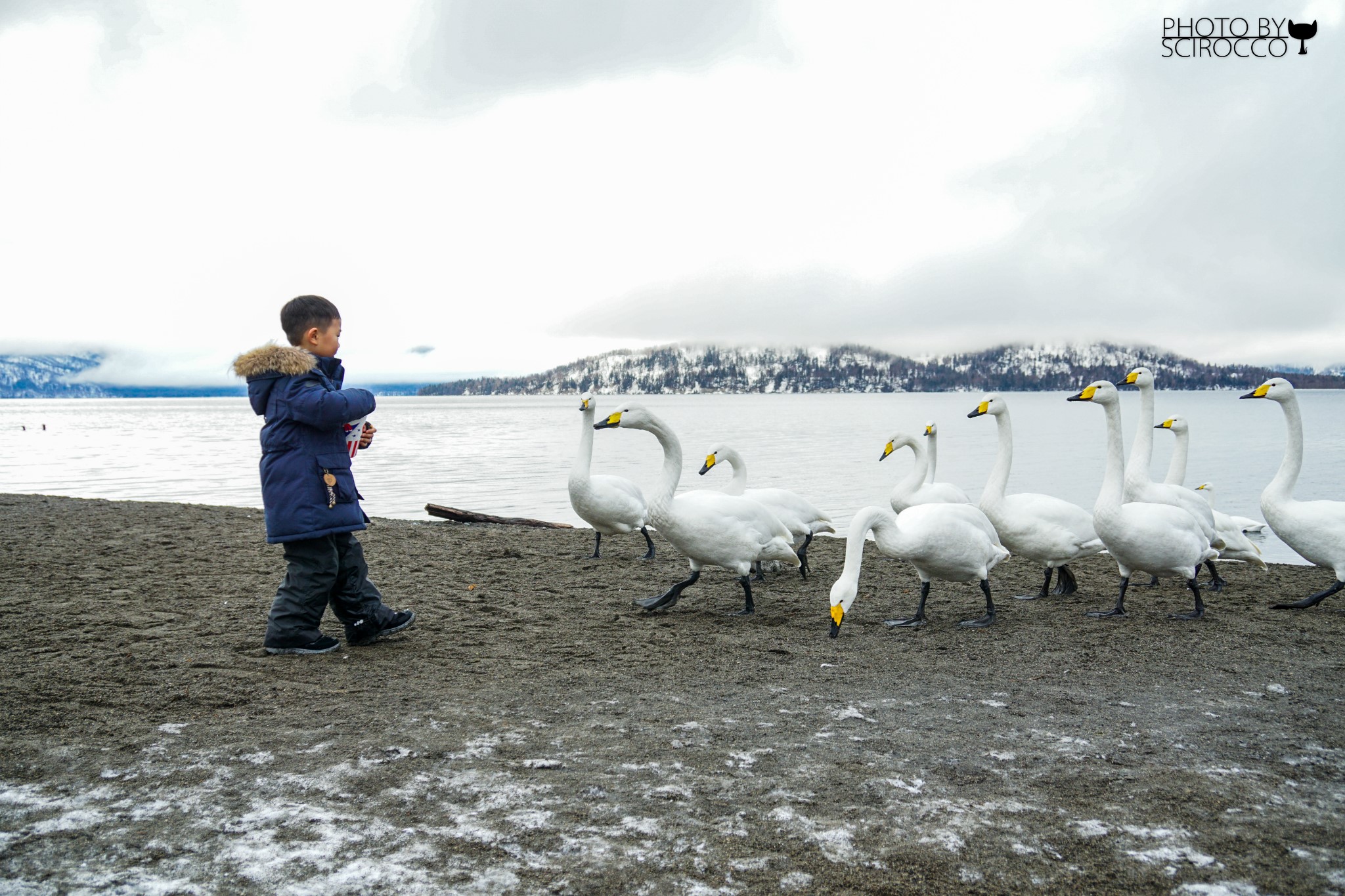 北海道自助遊攻略