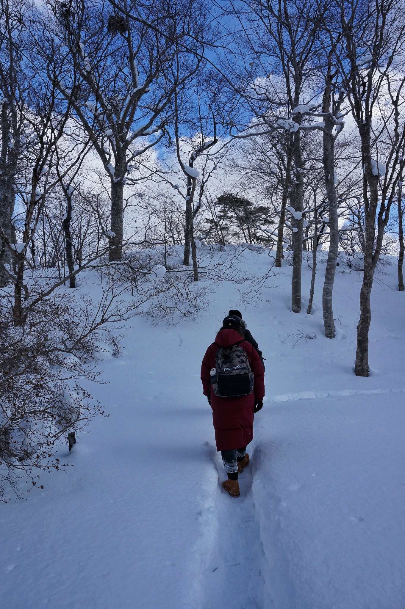 北海道自助遊攻略