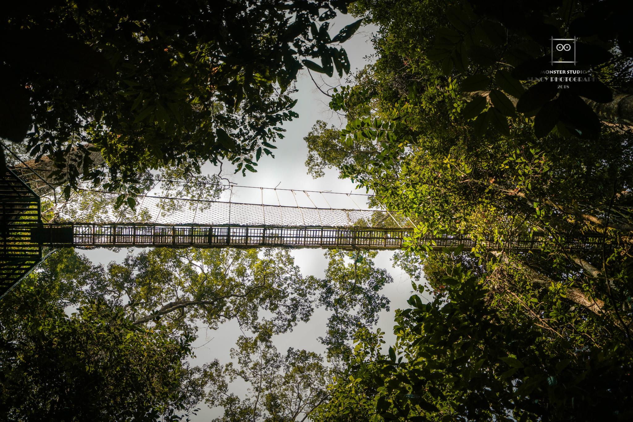 西双版纳一定要去的景点，西双版纳景点排行榜，西双版纳景点前五名 