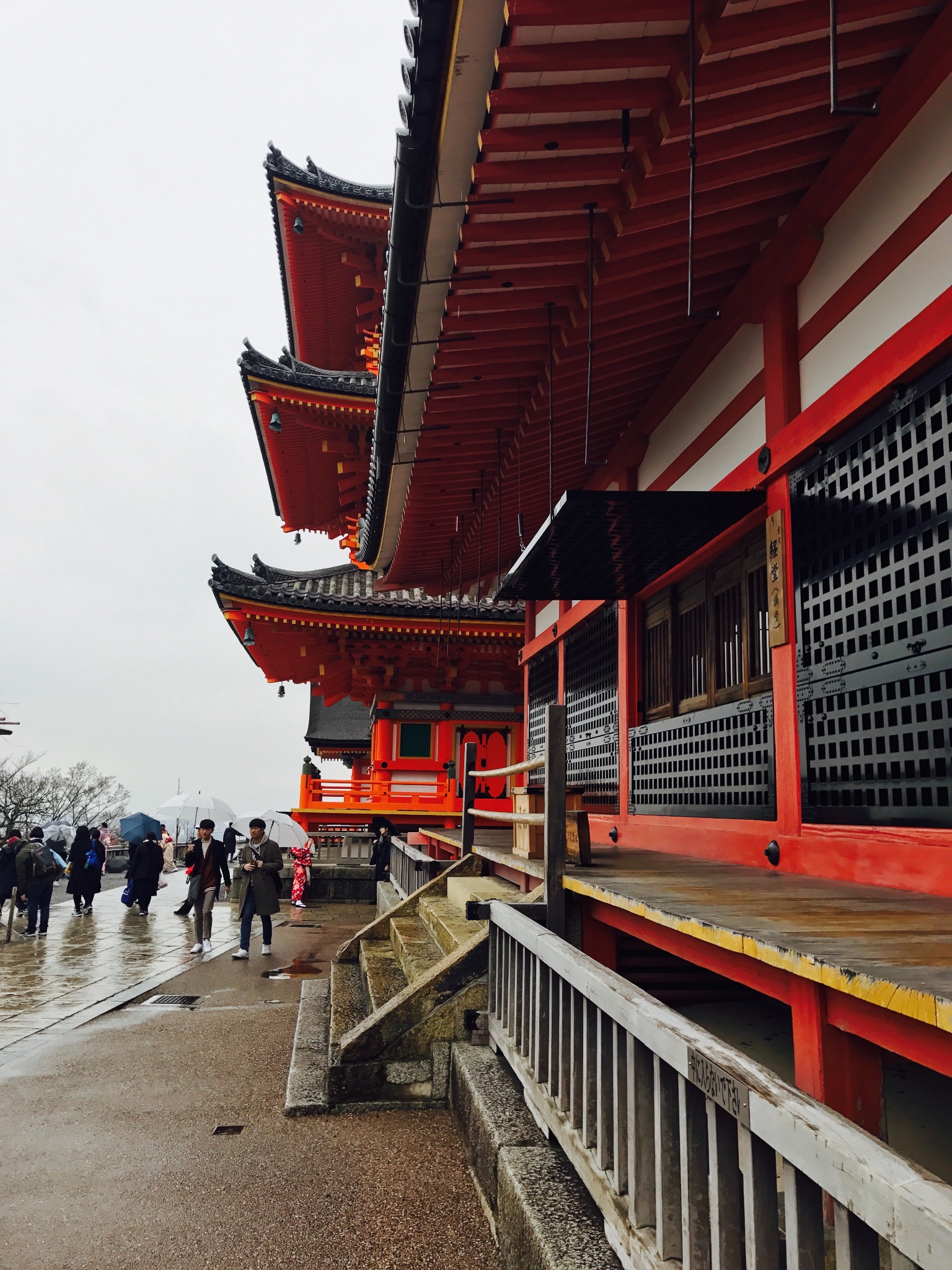 我们仨的日本行白川乡五个山名古屋京都
