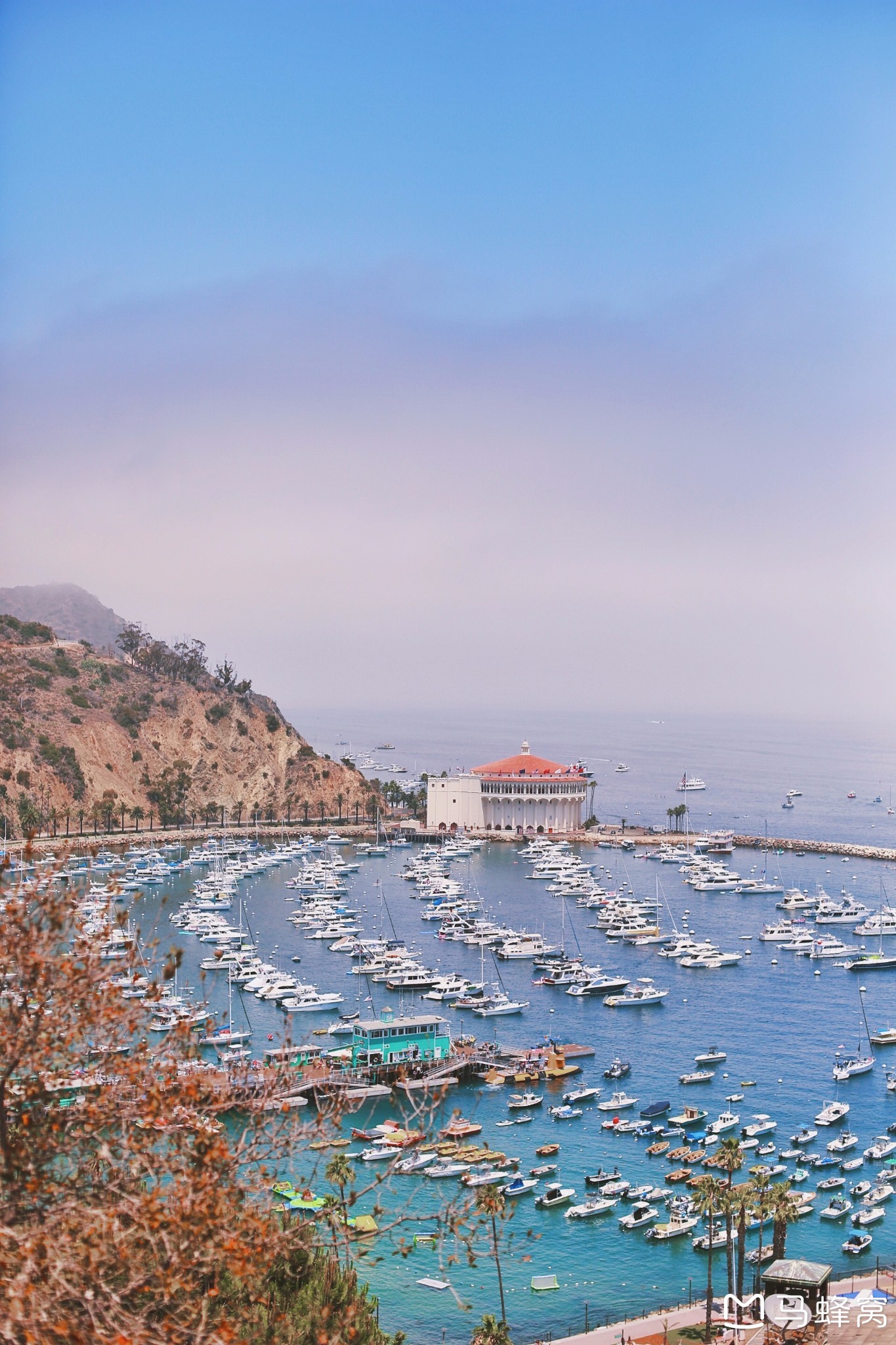 美西最美海岛——catalina island全攻略_游记