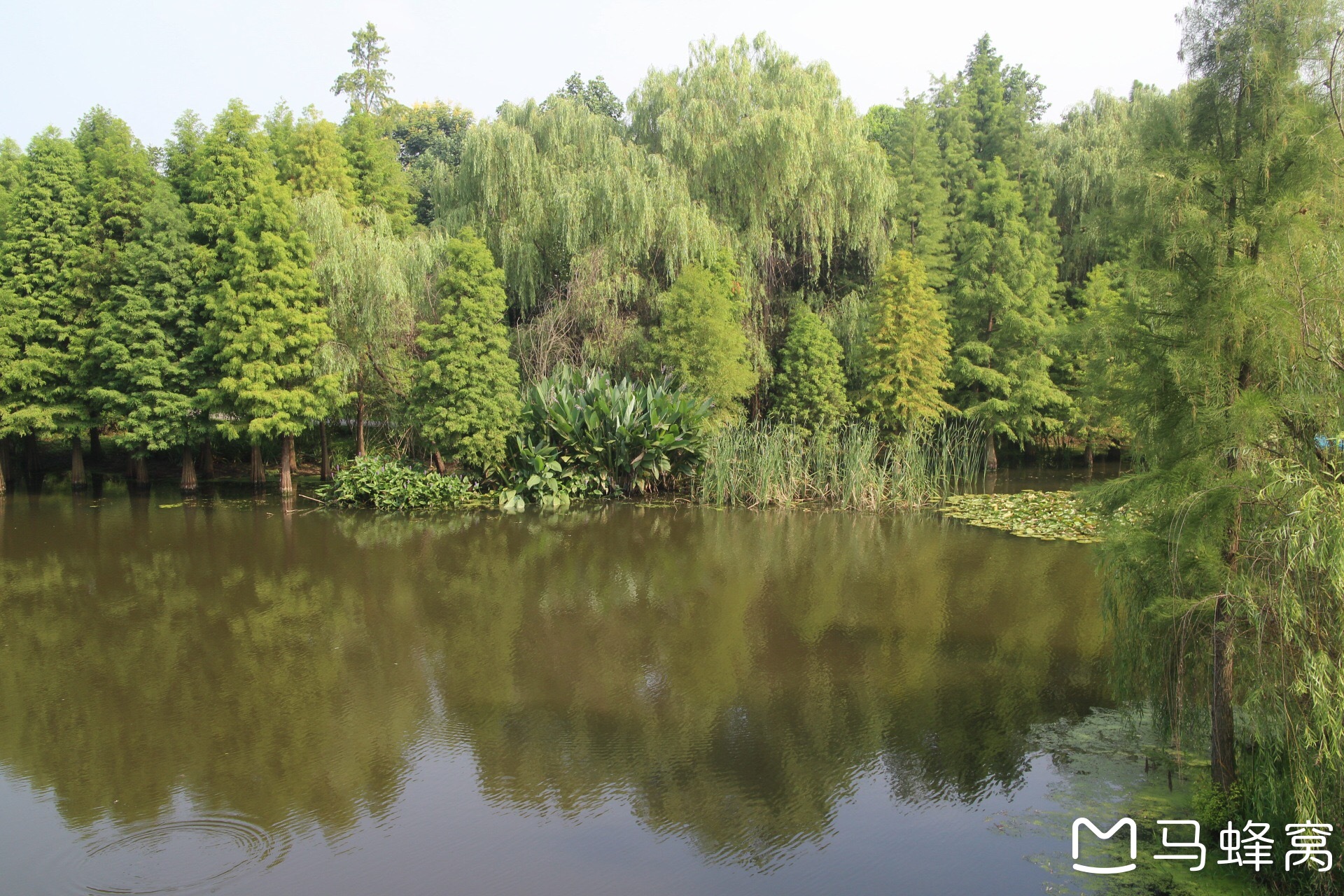 钟山风景区宝顶
