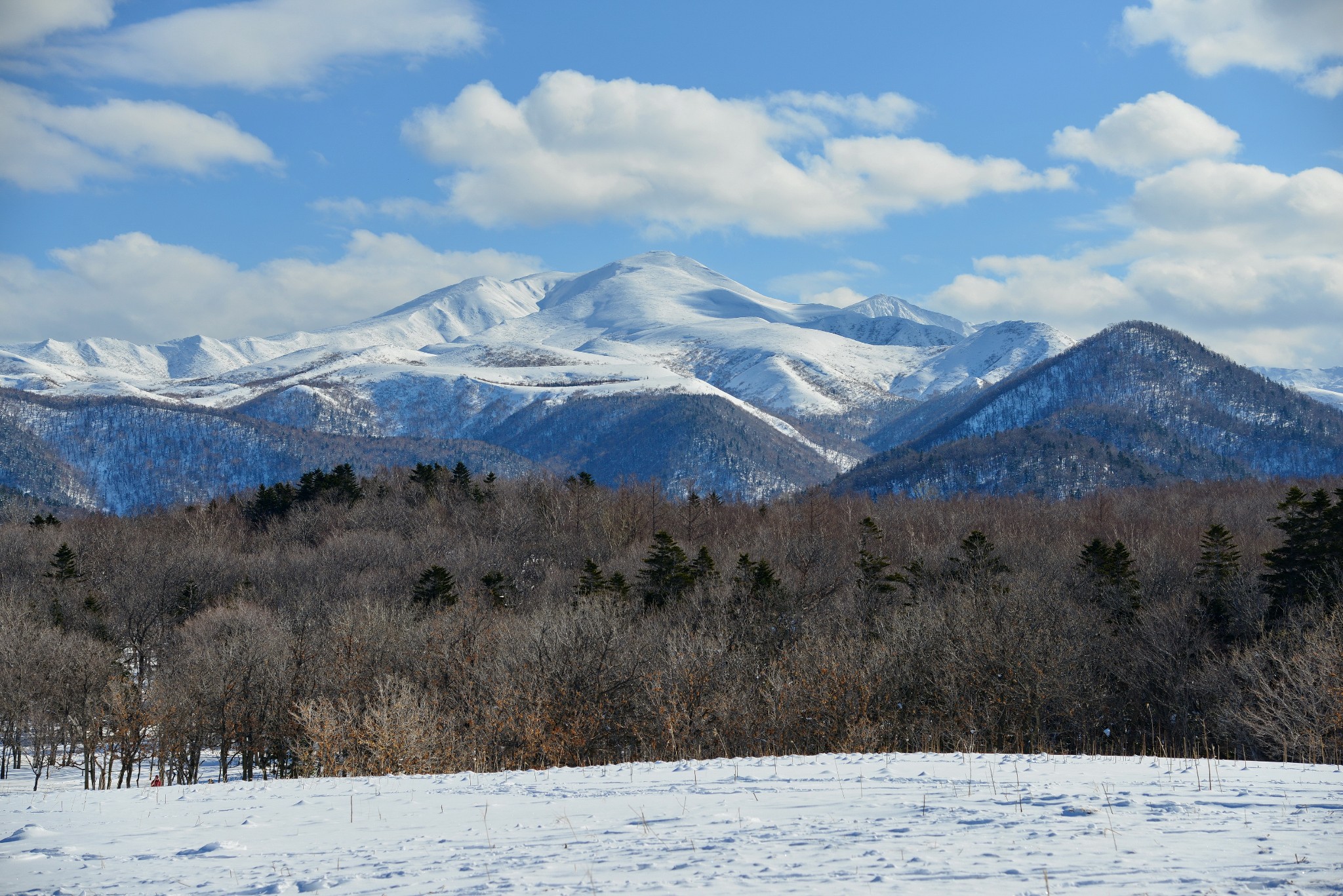 北海道自助遊攻略