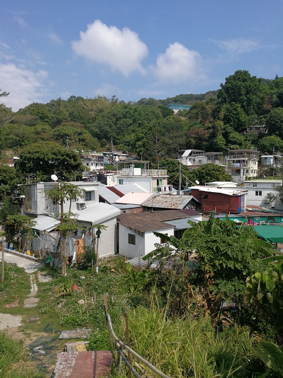 我游薄扶林郊野公园