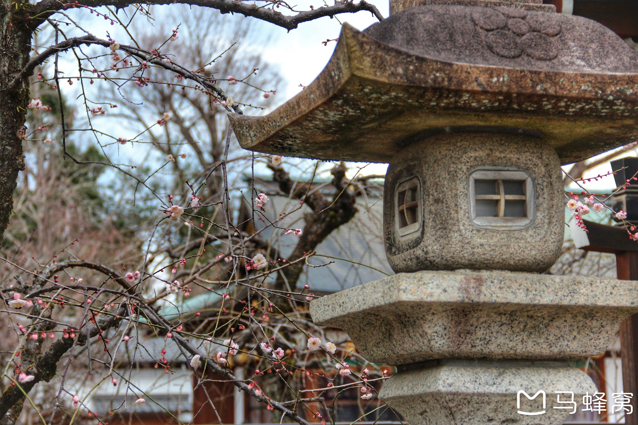 京都自助遊攻略