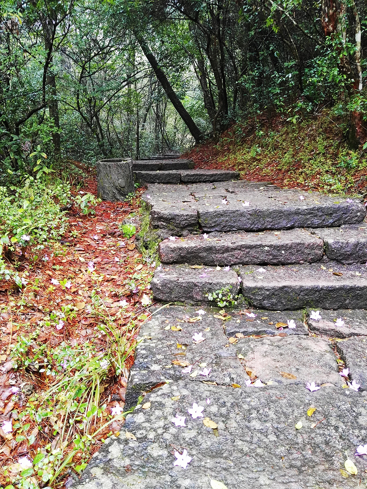 武夷山自助遊攻略