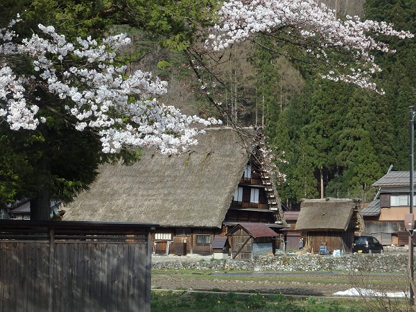 日本名古屋白川鄉高山一日遊世界遺產自助式午餐含合掌屋入場券送觀光