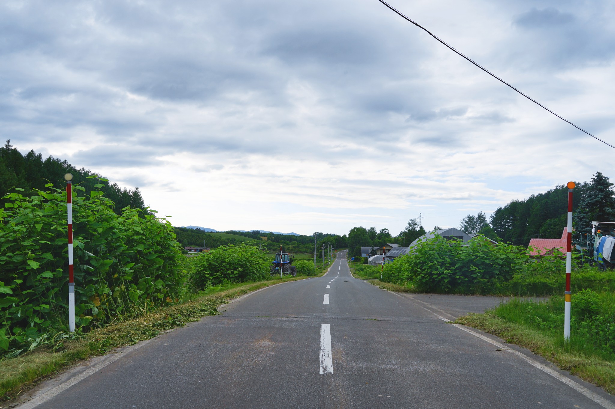 北海道自助遊攻略