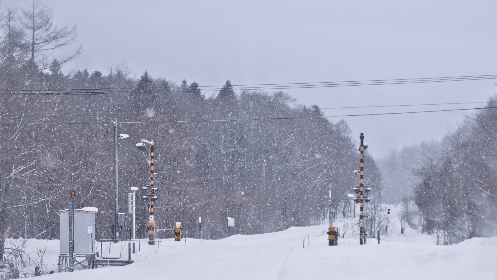 北海道自助遊攻略