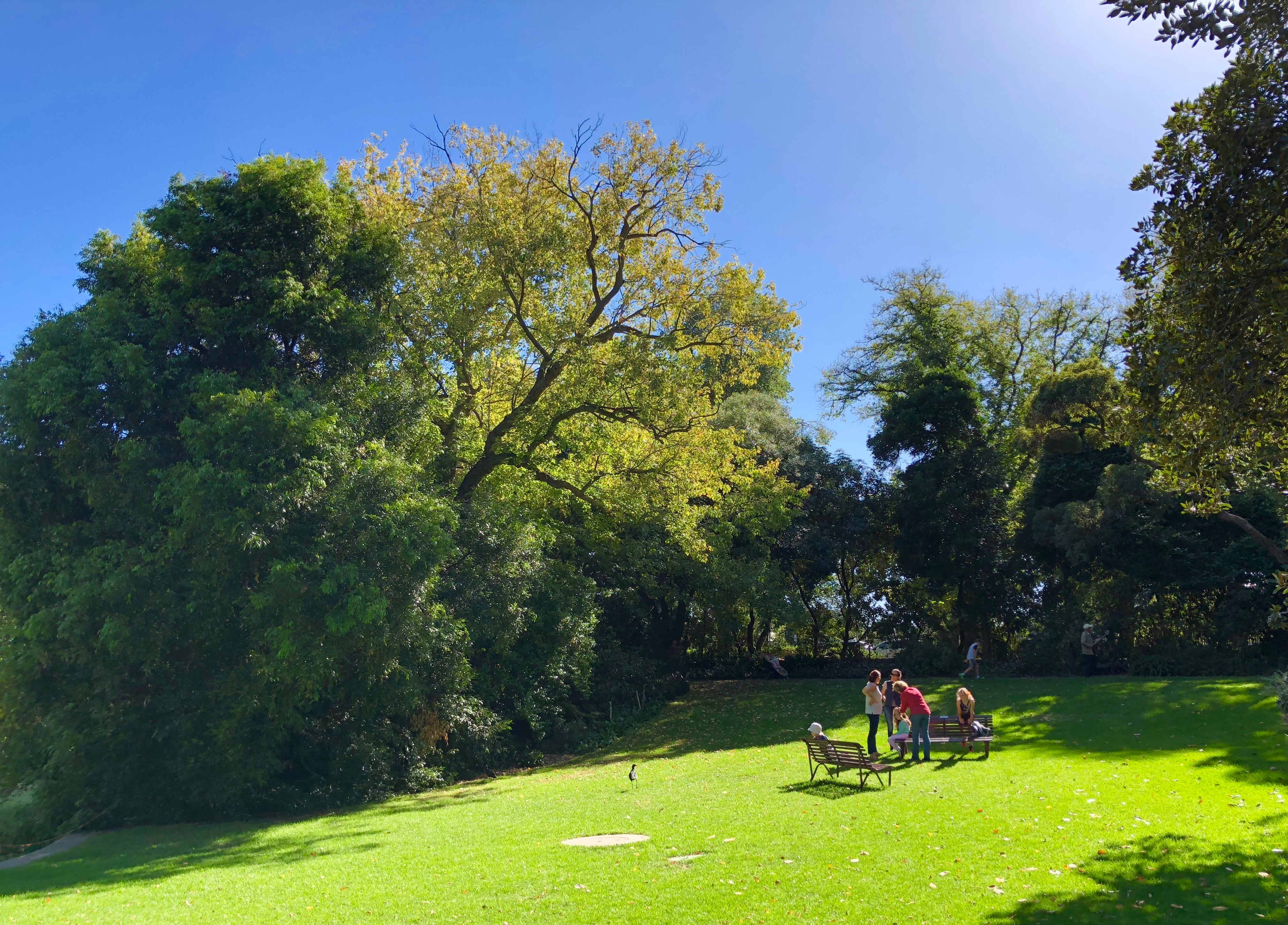 The Terrace Reception at the Royal Botanic Gardens