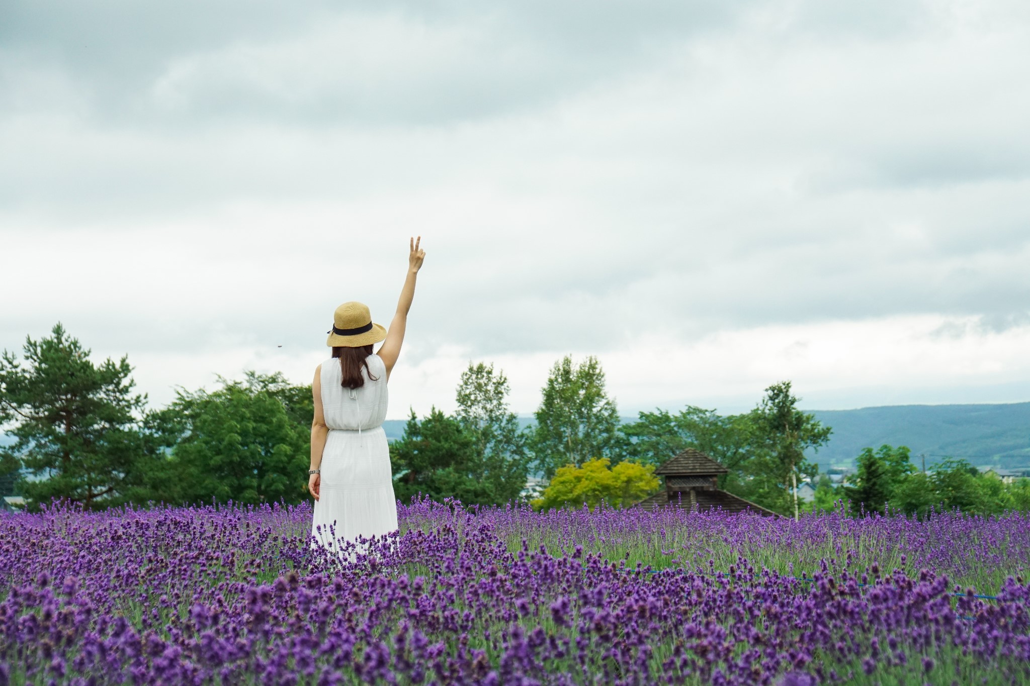 北海道自助遊攻略