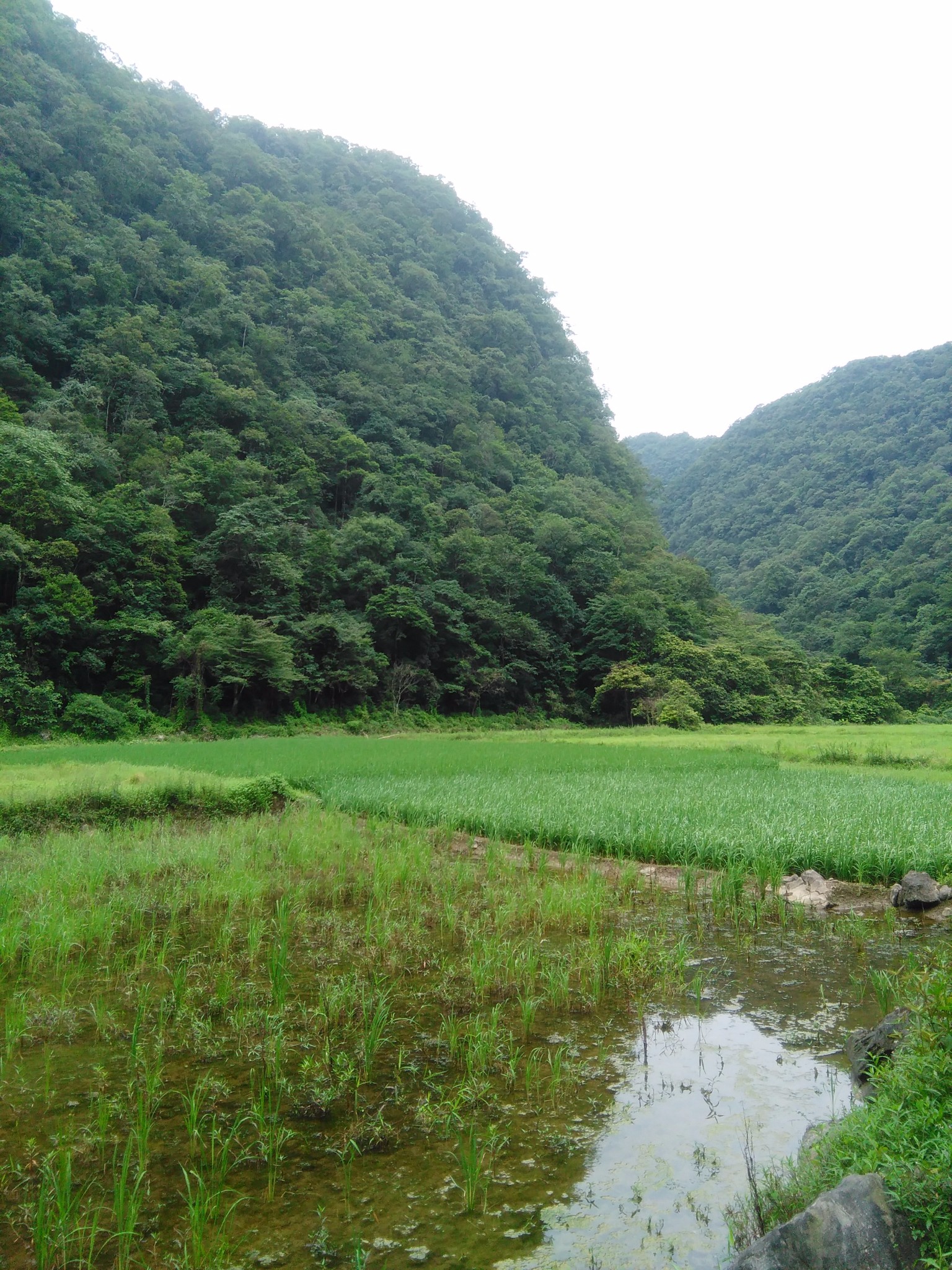 荔波自助遊攻略