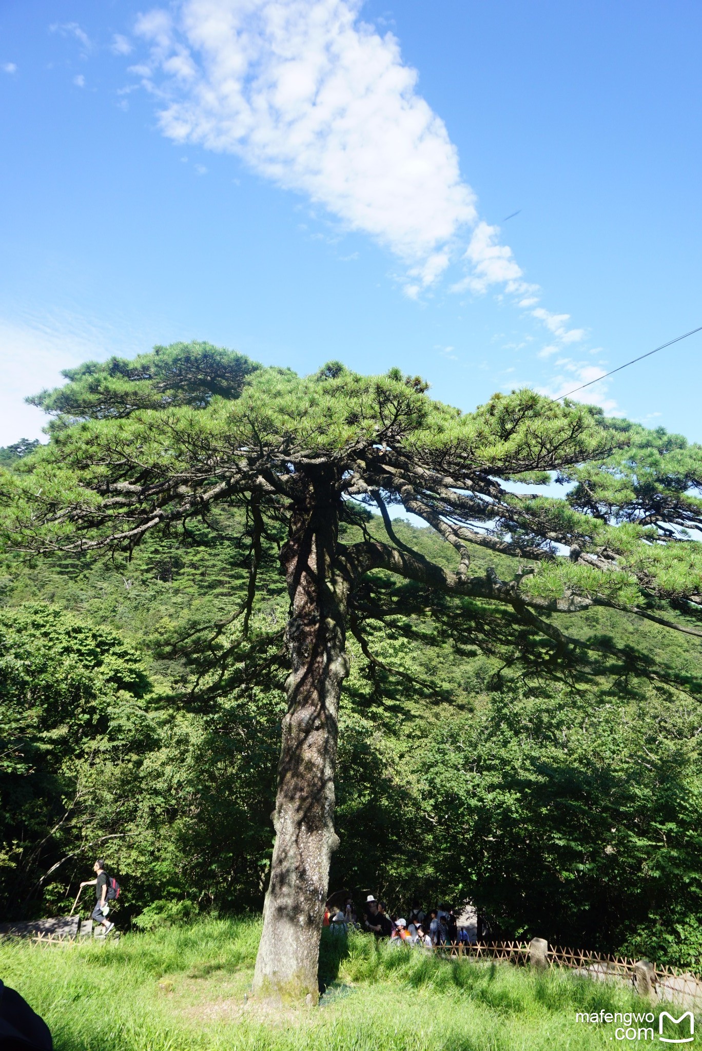 三清山自助遊攻略