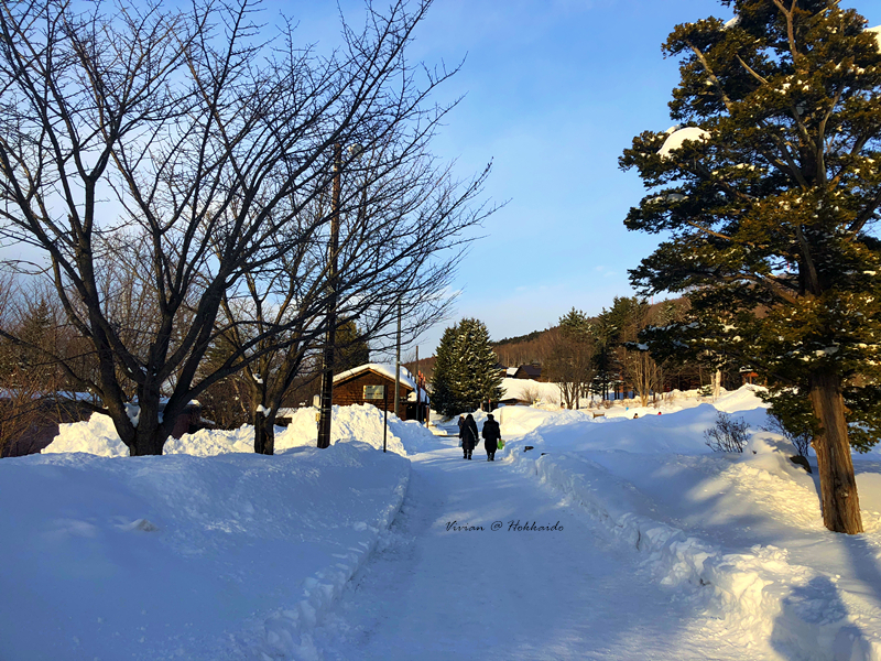 北海道自助遊攻略