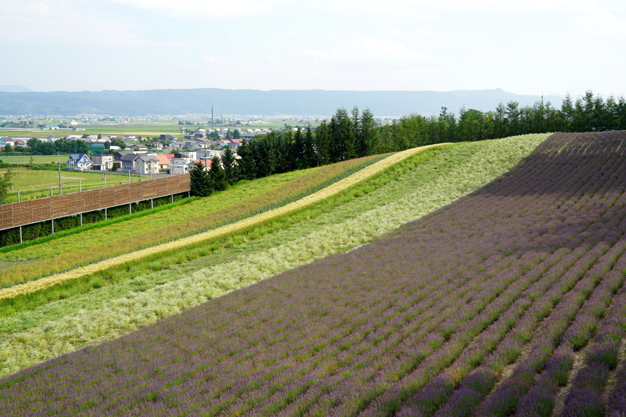 北海道自助遊攻略