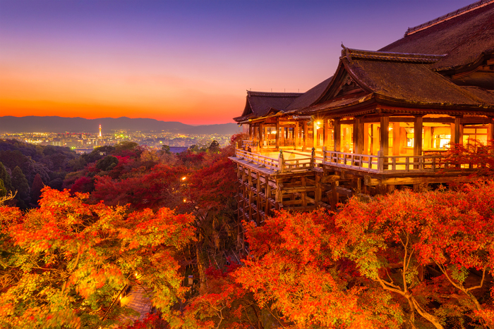 古韵京都 日本金阁寺 银阁寺 清水寺古都三大名所半日游 1人即可成行