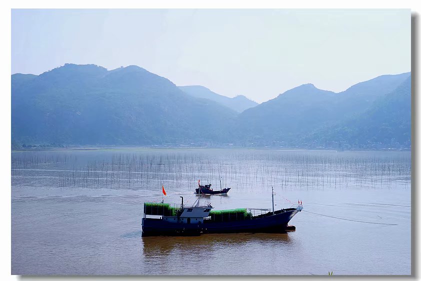 2017夏之旅4沈海高速沿线海鲜考察团之福建霞浦北岐沙塘里201786