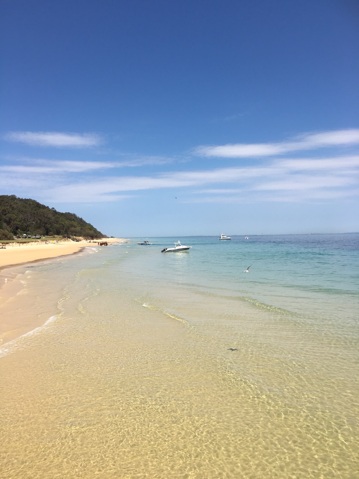 黃金海岸（澳大利亞）自助遊攻略