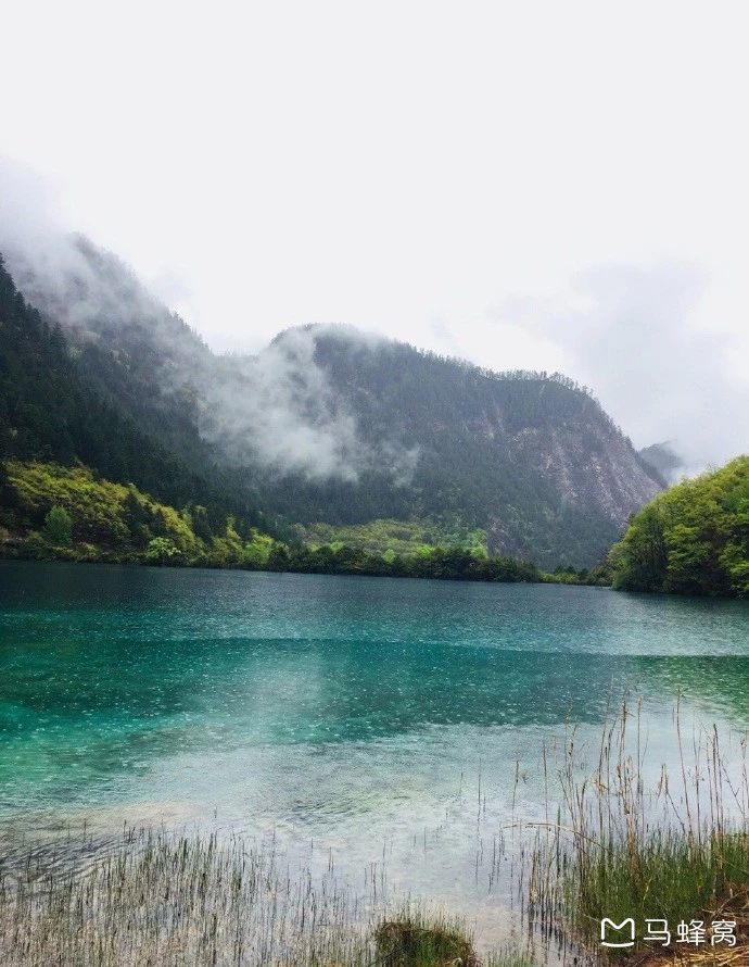 去九寨沟5月份去太早了吗景色美吗