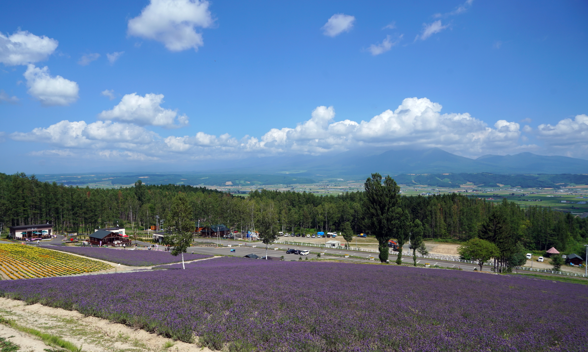 北海道自助遊攻略