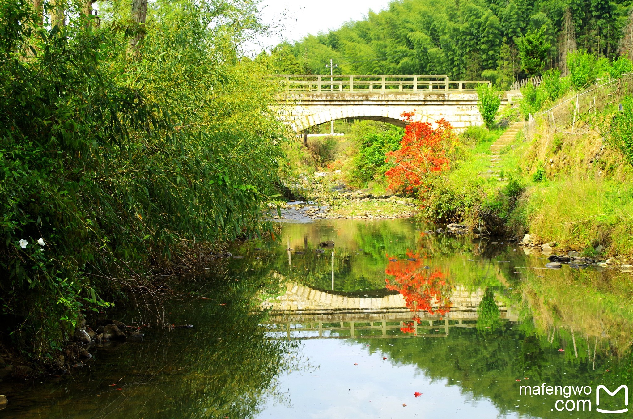 一路山花不负侬一园红艳醉坡陀古田白溪赏杜鹃花记