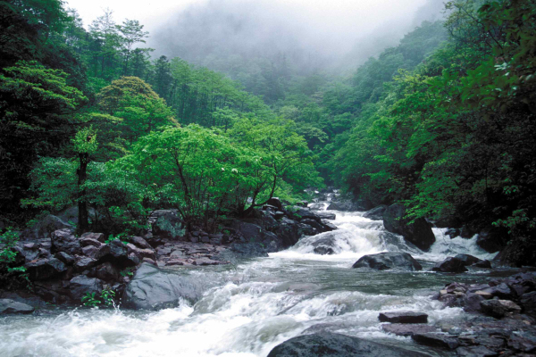 湖州安吉龙王山漂流门票