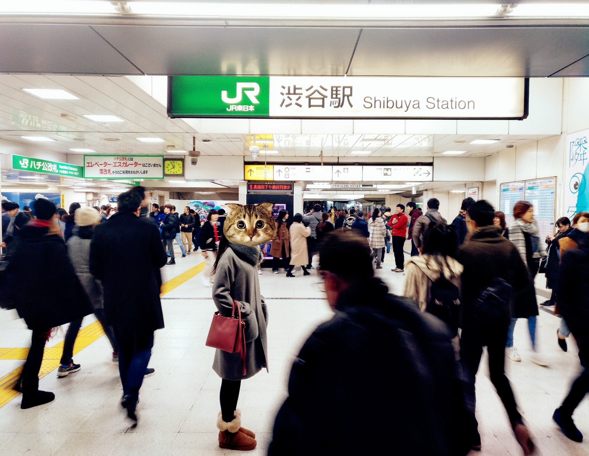 東京自助遊攻略