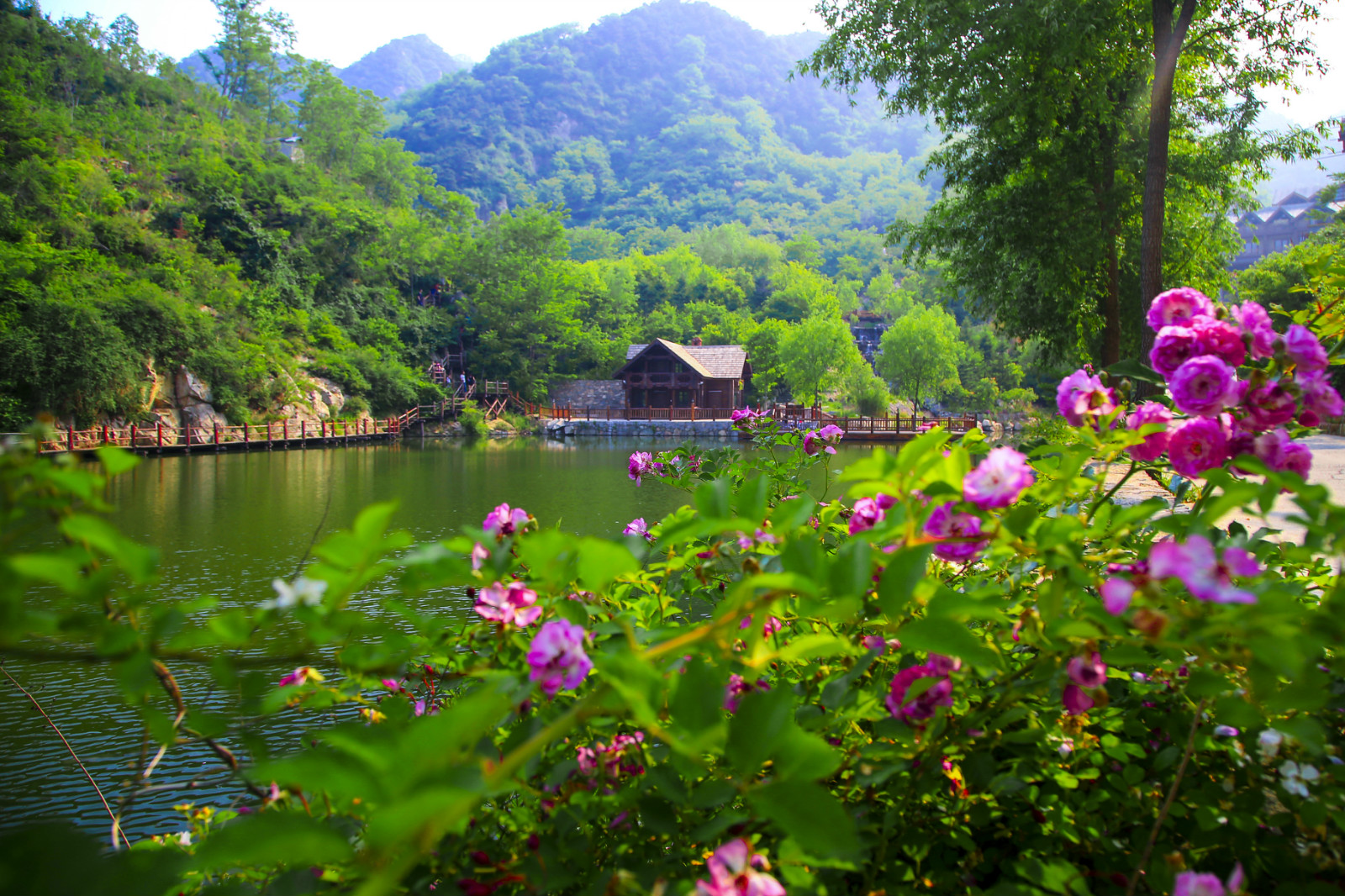 山东济南九如山风景区门票沉浸式浪漫野奢生活体验馆