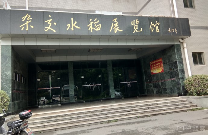 杂交水稻展览馆旅游图片,杂交水稻展览馆自助游图片,杂交水稻展览馆
