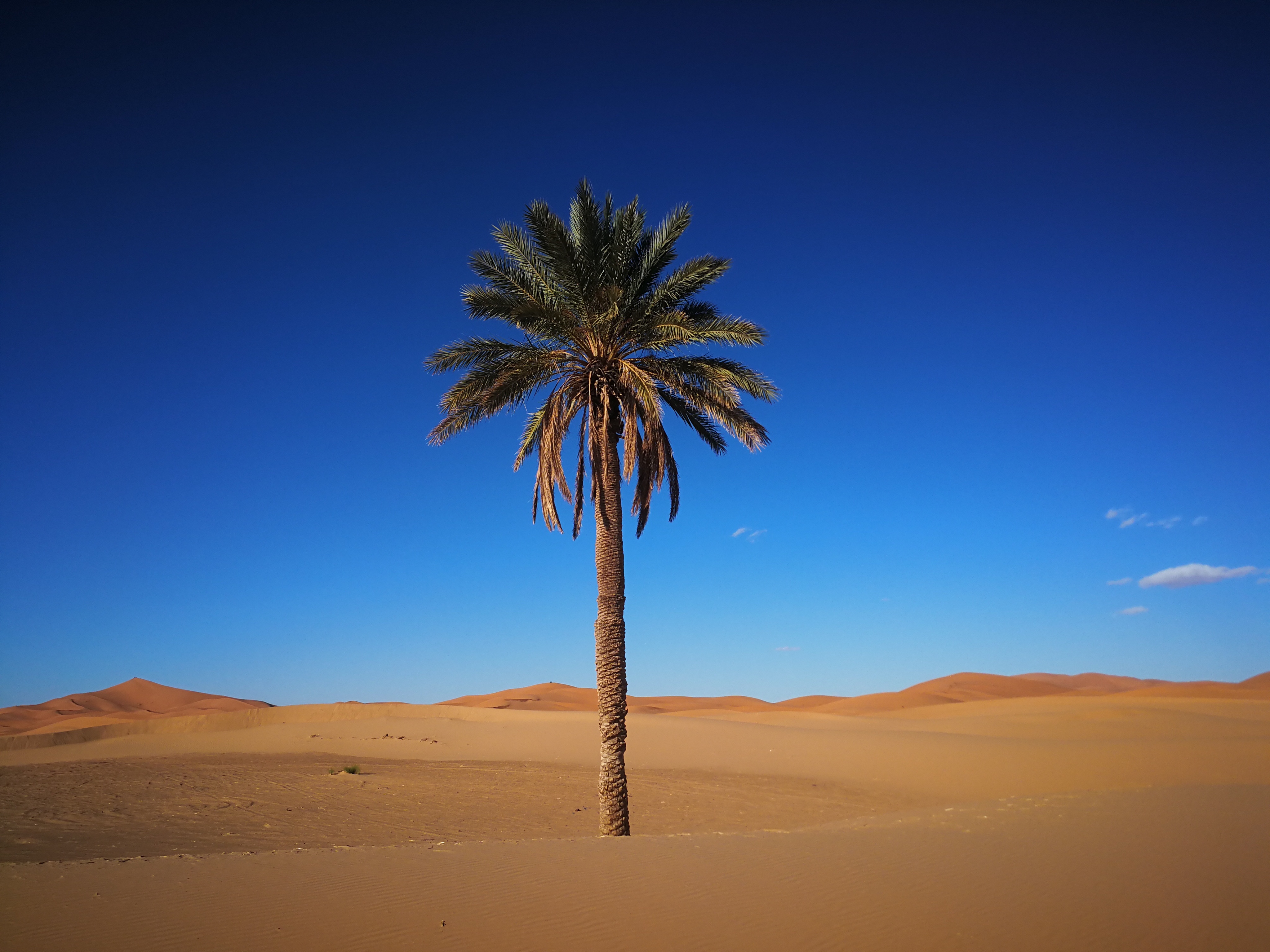 想一览摩洛哥全貌需要几天才够玩有没有比较成熟的线路建议