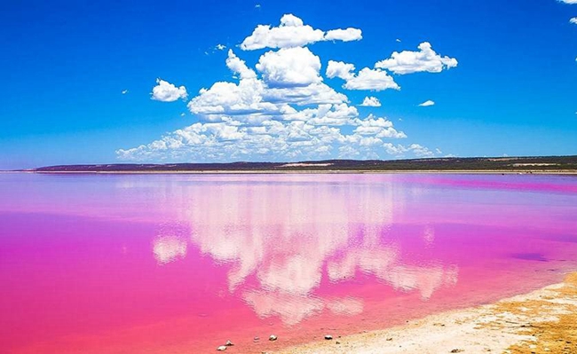 西澳 神秘粉红湖 卡尔巴里一日游 (飞去飞回 珀斯往返)