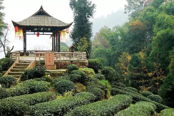 平乐花楸山离成都最近的千年茶乡一路清凉到忧桑