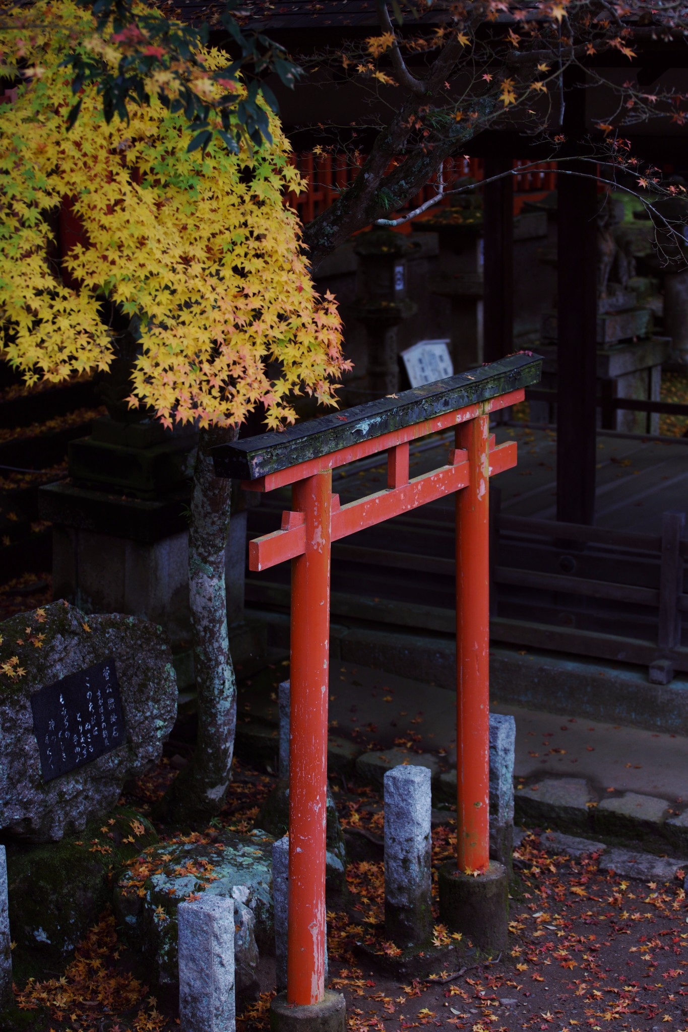 京都自助遊攻略