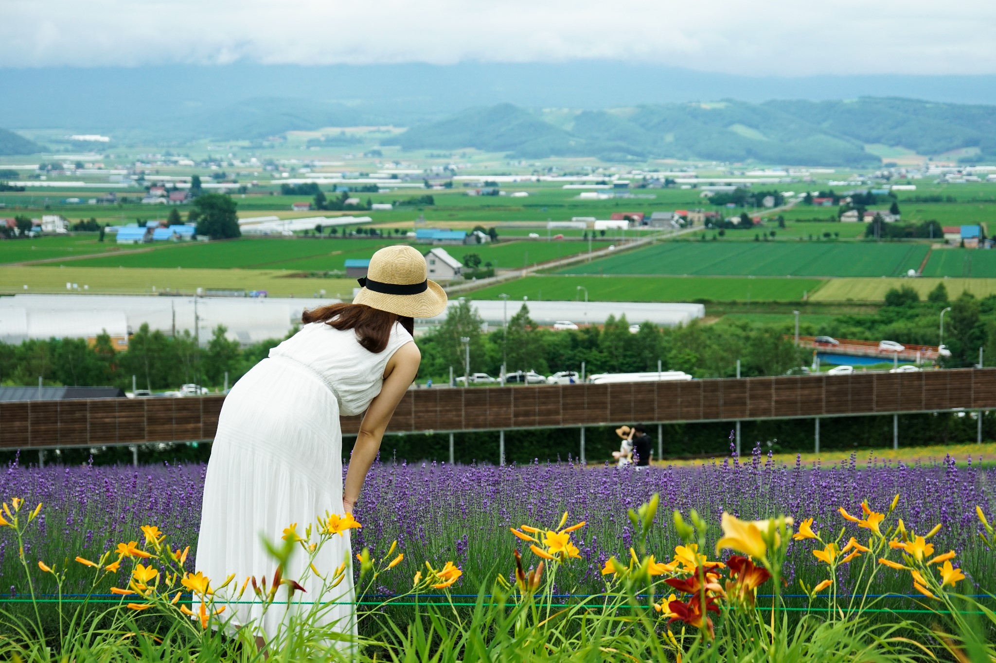 北海道自助遊攻略