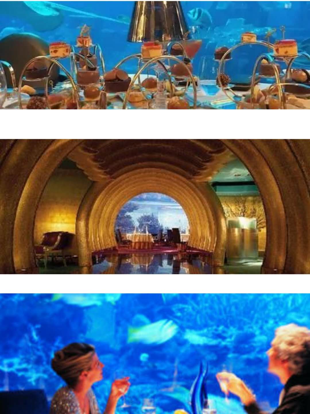 2022迪拜帆船酒店海底餐厅美食餐厅,顶级的价格带来的是顶级的服... 【去哪儿攻略】
