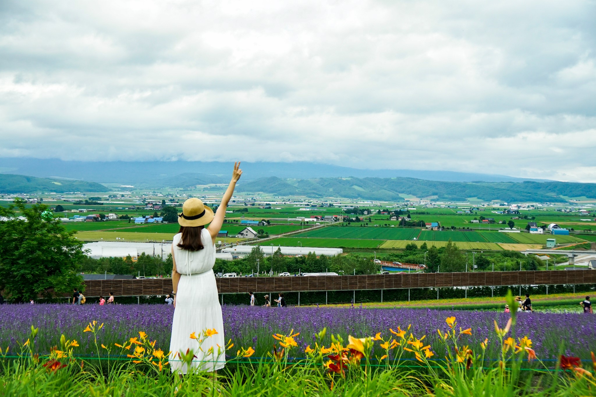 北海道自助遊攻略