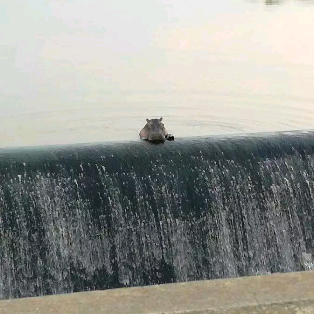 我愛土味