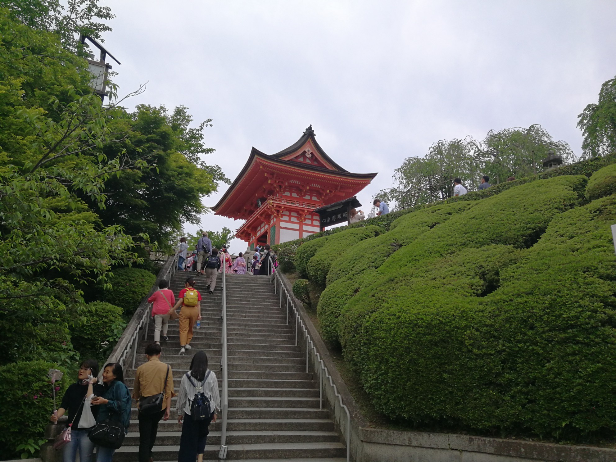 日本关西 京都 宇治 奈良 大阪 神户 九天七晚五城一人游 图片5 日本旅游景点 风景名胜 马蜂窝图库 马蜂窝