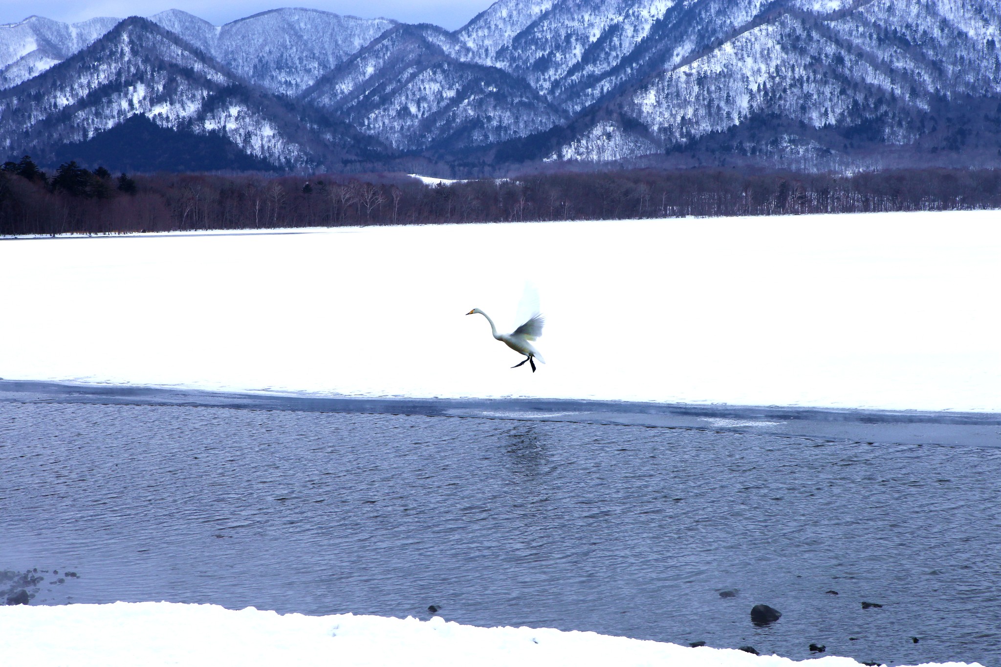 北海道自助遊攻略