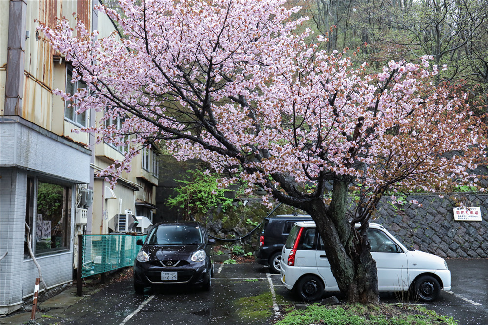 北海道自助遊攻略