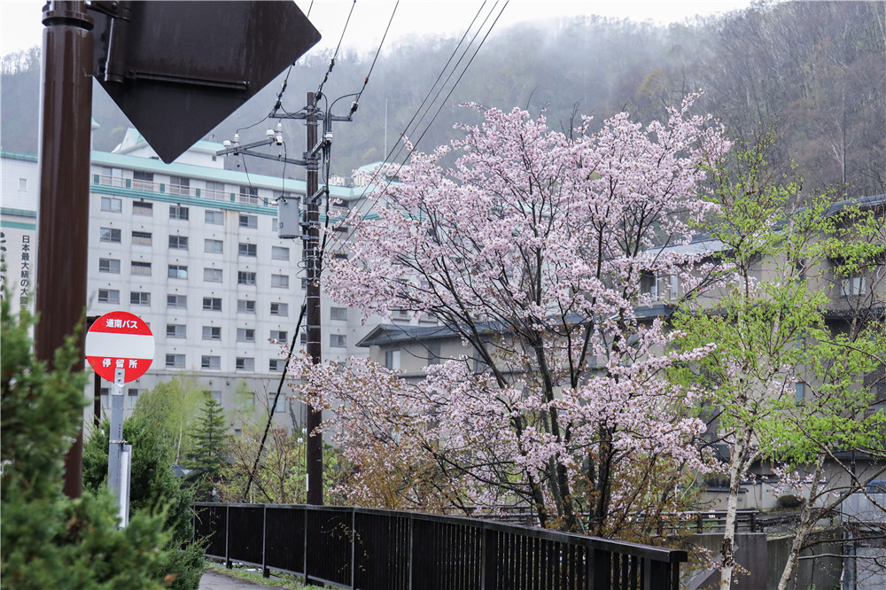 北海道自助遊攻略