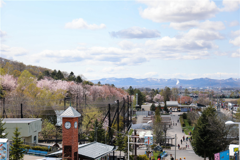 北海道自助遊攻略