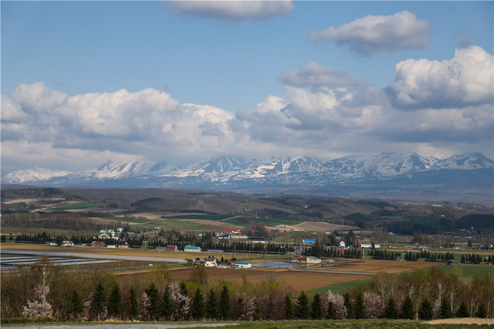 北海道自助遊攻略